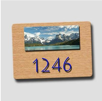 Holz-Beschilderung - Tür-Nummer mit Foto